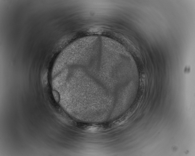 X0000102820504200809151019