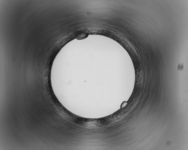 X0000102820505200809151018