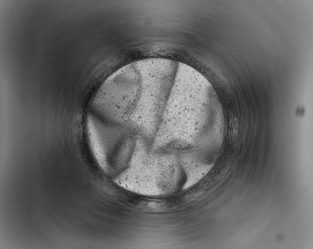 X0000102820506200809151018