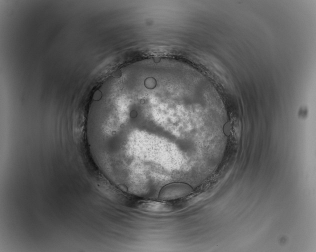 X0000102820507200809151018