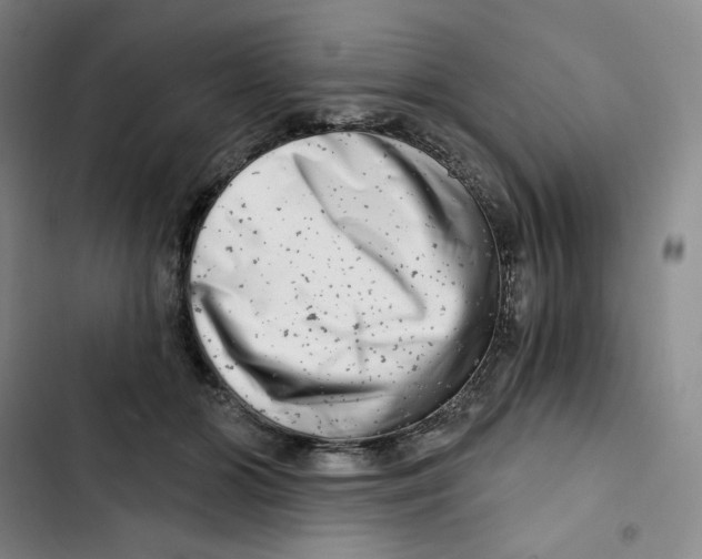 X0000102820510200809151018
