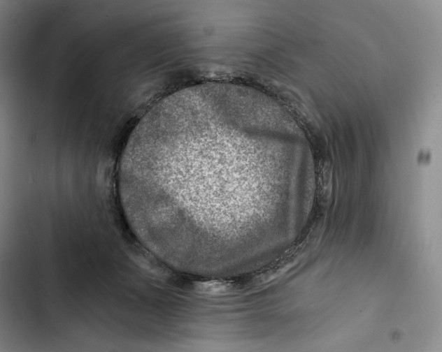 X0000102820511200809151018