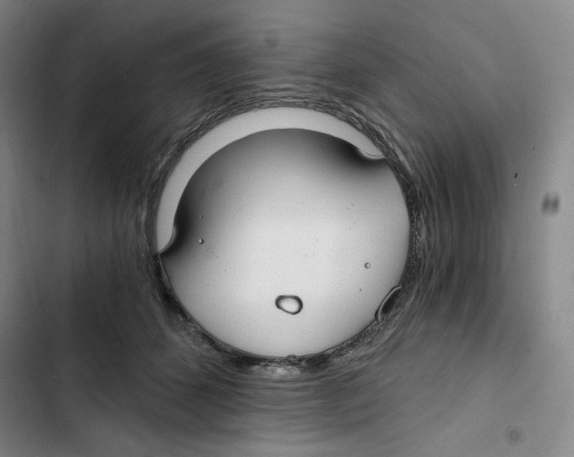 X0000102820512200809151018