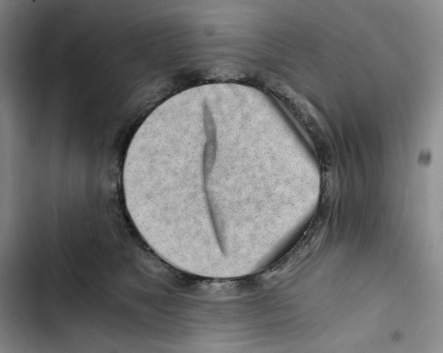 X0000102820517200809151018