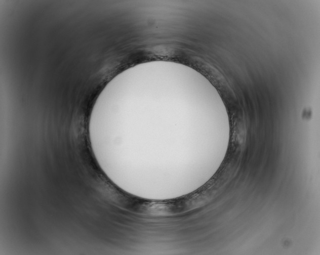 X0000102820518200809151018