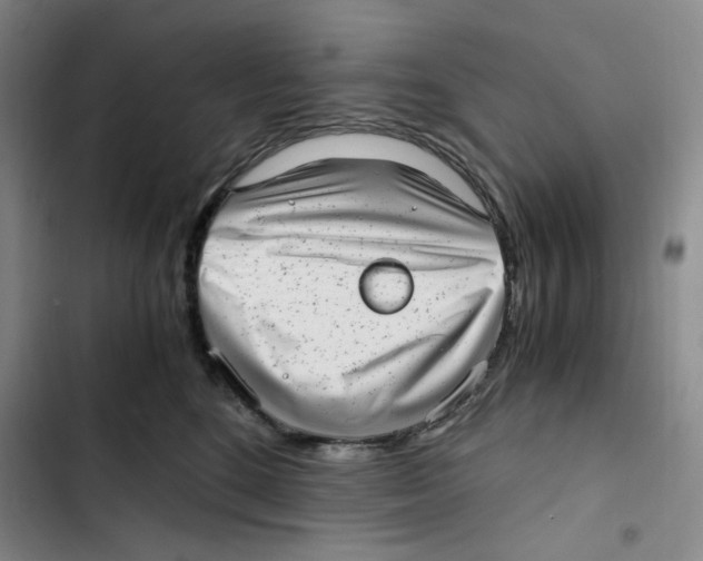 X0000102820520200809151018