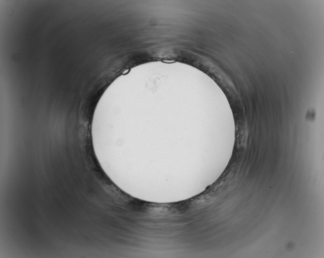 X0000102820521200809151018