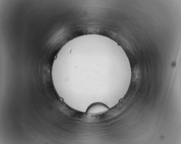 X0000102820522200809151018