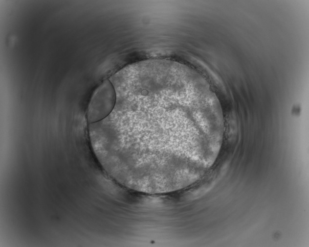 X0000102820523200809151018