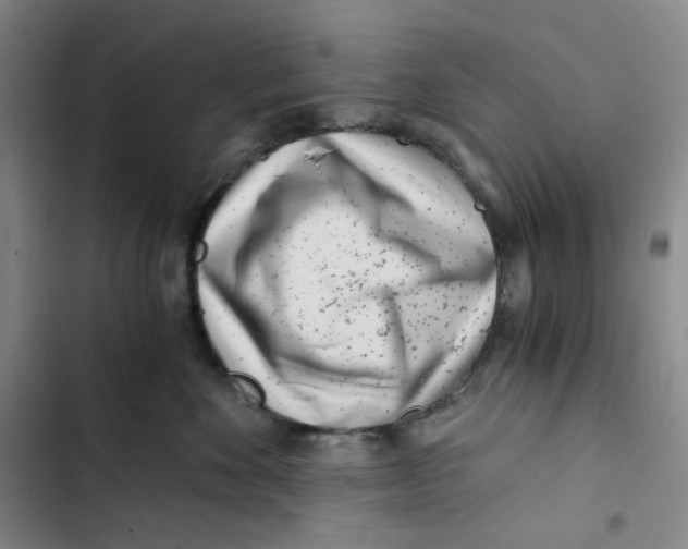 X0000102820524200809151018