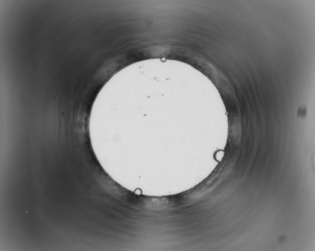 X0000102820525200809151018