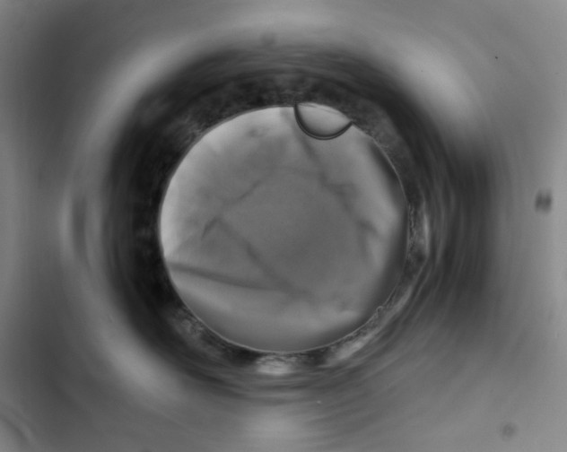X0000102820526200809151018