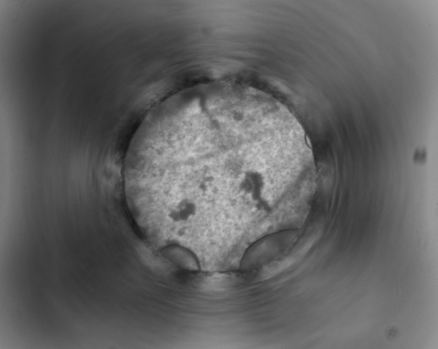 X0000102820527200809151018