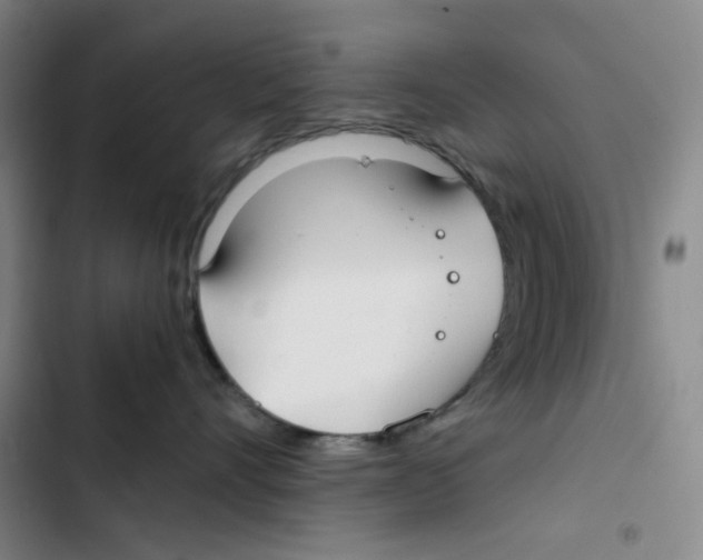 X0000102820528200809151018