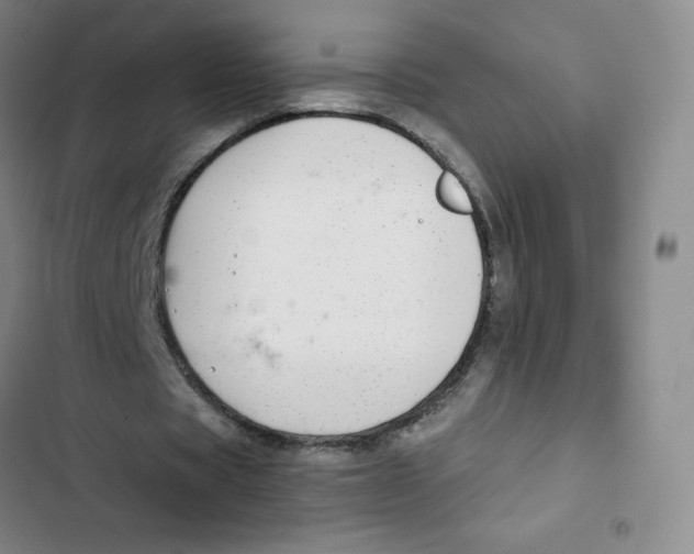X0000102820529200809151017