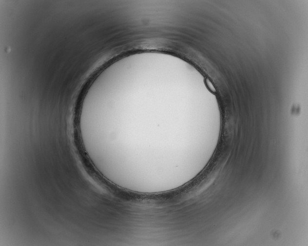 X0000102820530200809151017