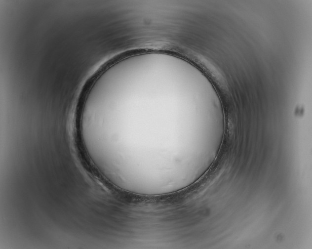 X0000102820532200809151017