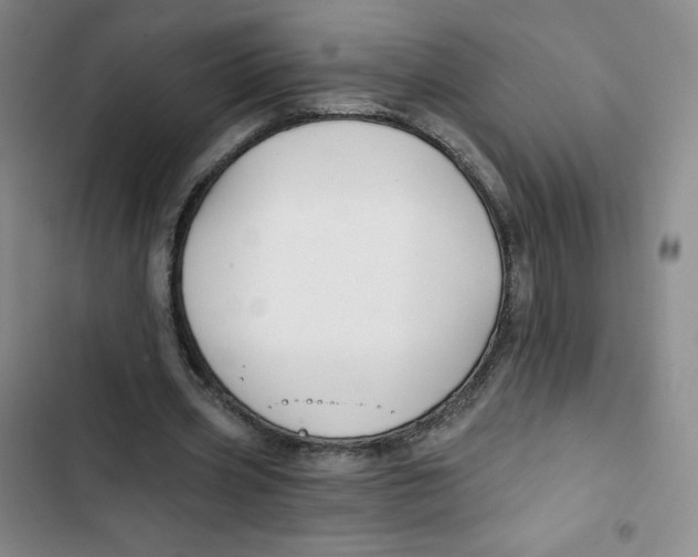 X0000102820533200809151017