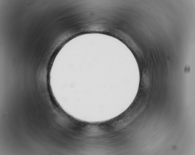 X0000102820534200809151017