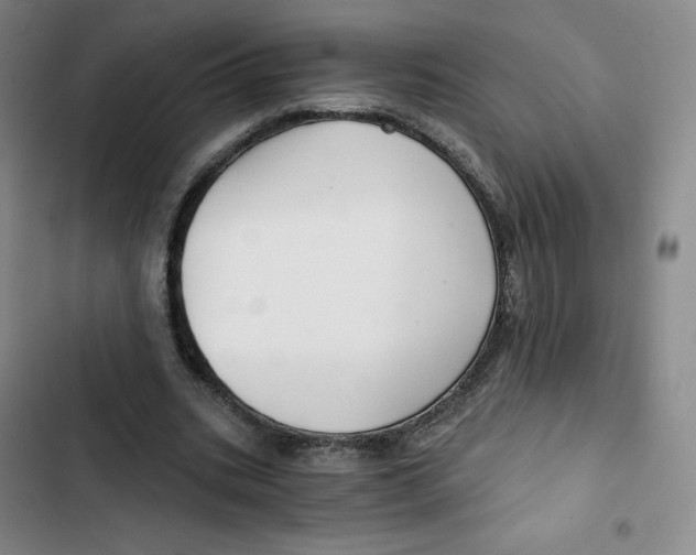 X0000102820535200809151017