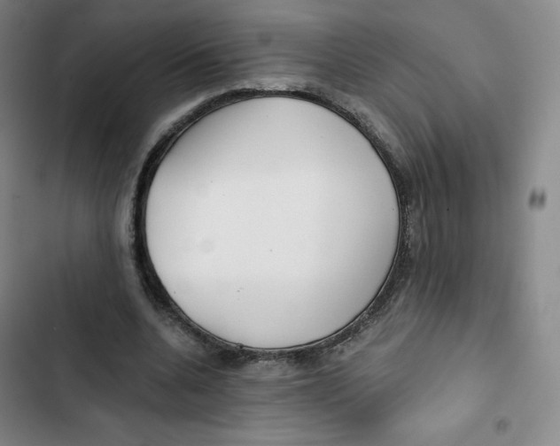 X0000102820536200809151017
