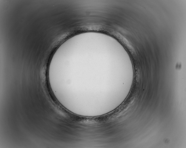 X0000102820537200809151017