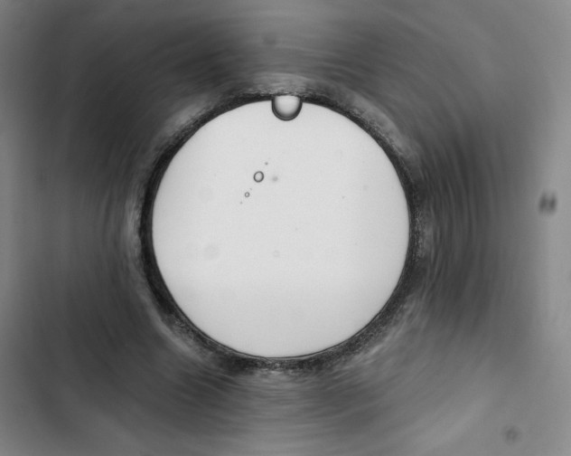 X0000102820538200809151017