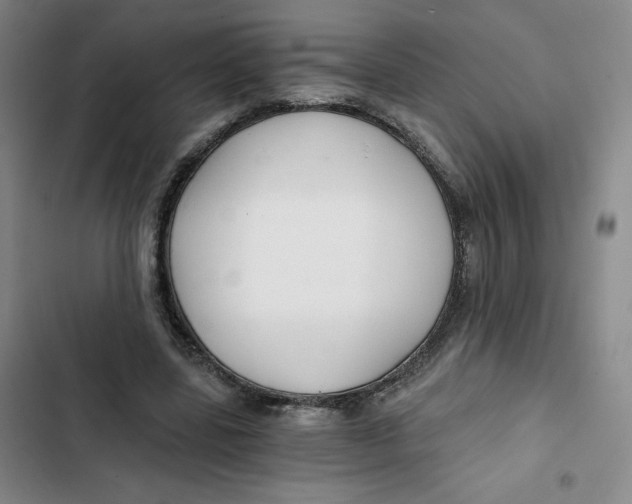 X0000102820539200809151017
