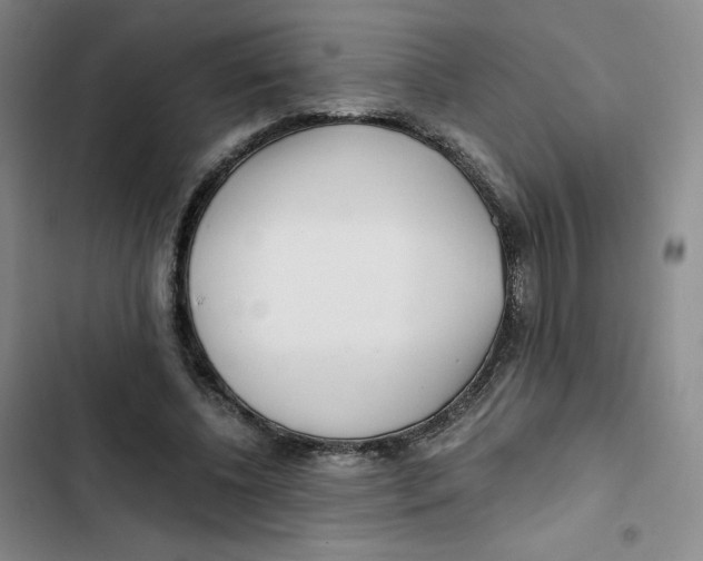 X0000102820540200809151017