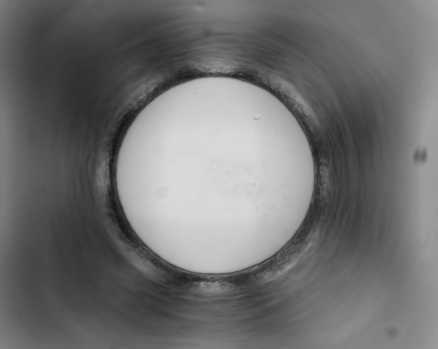 X0000102820541200809151018