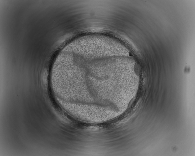X0000102820542200809151018