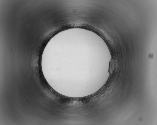 X0000102820543200809151018