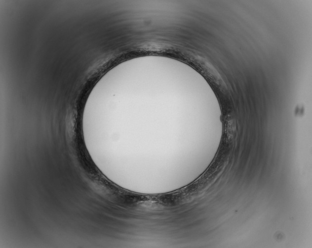 X0000102820544200809151018