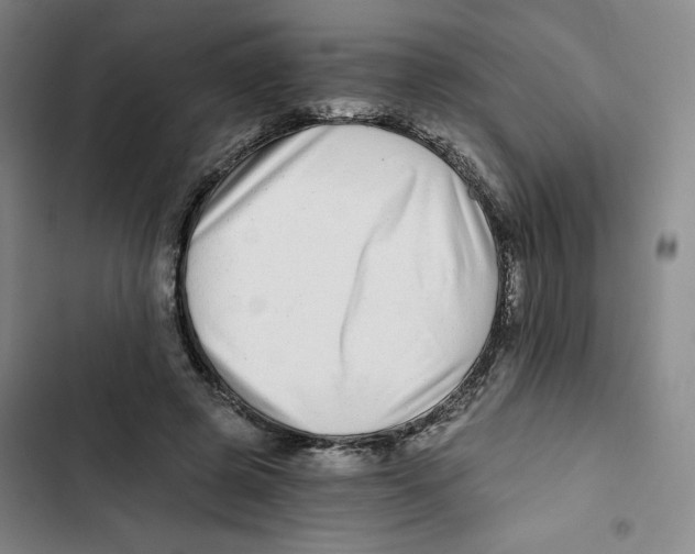 X0000102820545200809151018