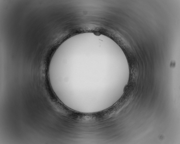 X0000102820546200809151018