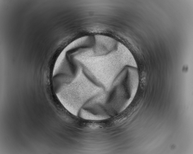 X0000102820547200809151018