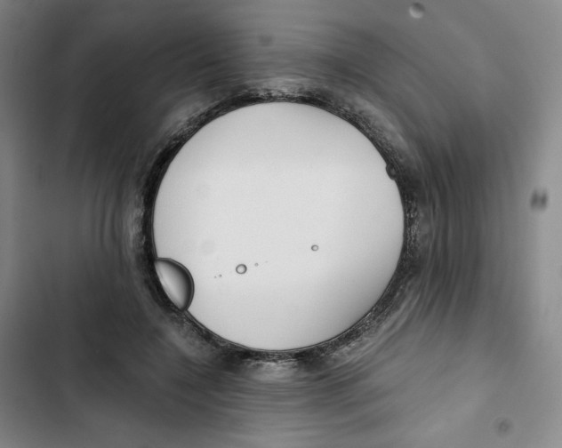 X0000102820548200809151018