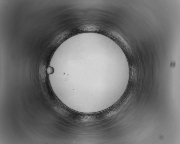 X0000102820549200809151018