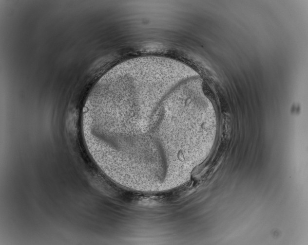 X0000102820550200809151018