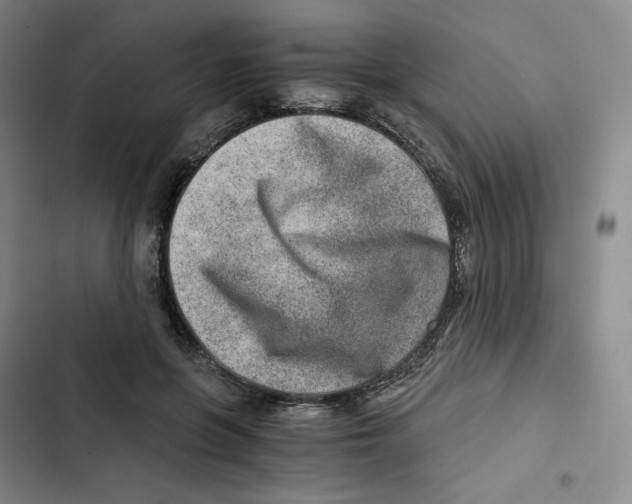 X0000102820551200809151018