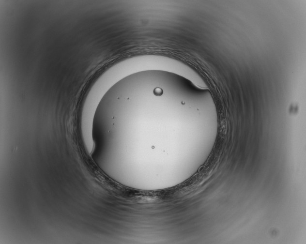 X0000102820552200809151018