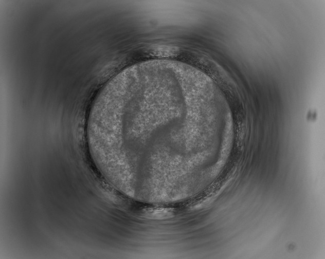 X0000102820553200809151018