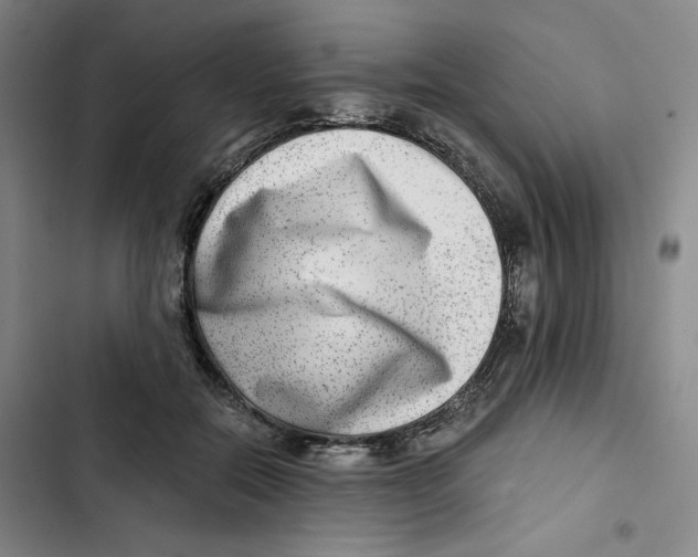 X0000102820554200809151018