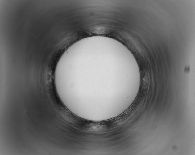 X0000102820555200809151018