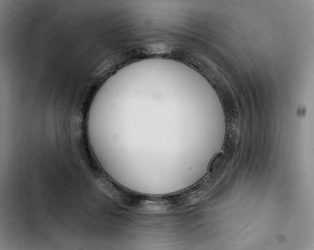 X0000102820556200809151018