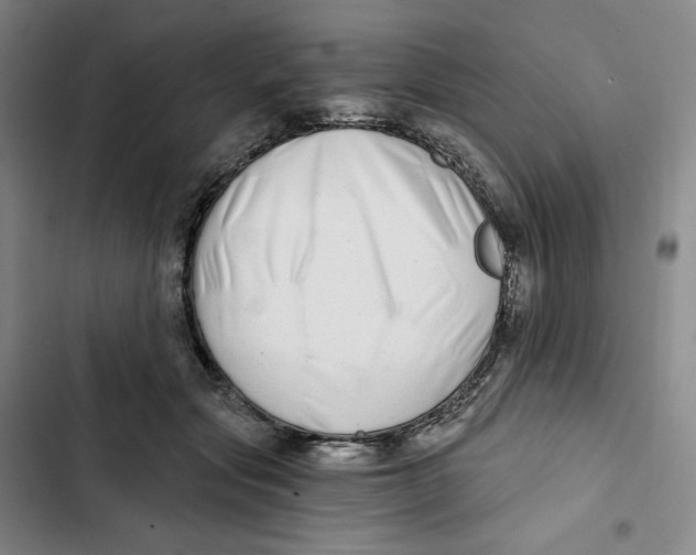 X0000102820557200809151018