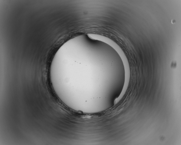 X0000102820558200809151018