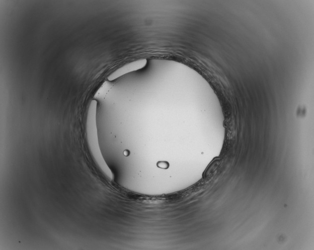 X0000102820560200809151018