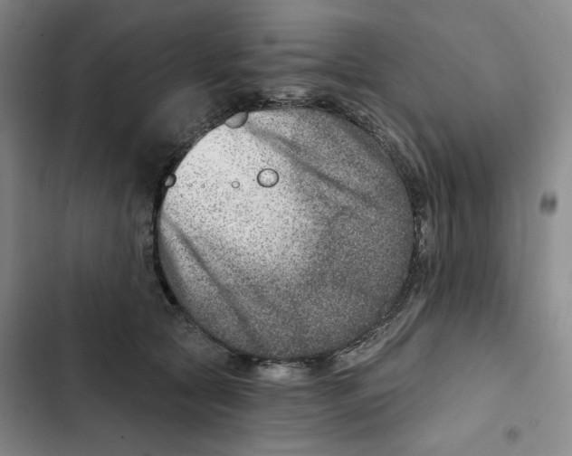 X0000102820561200809151018