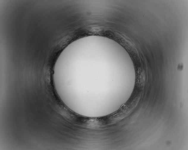 X0000102820562200809151018